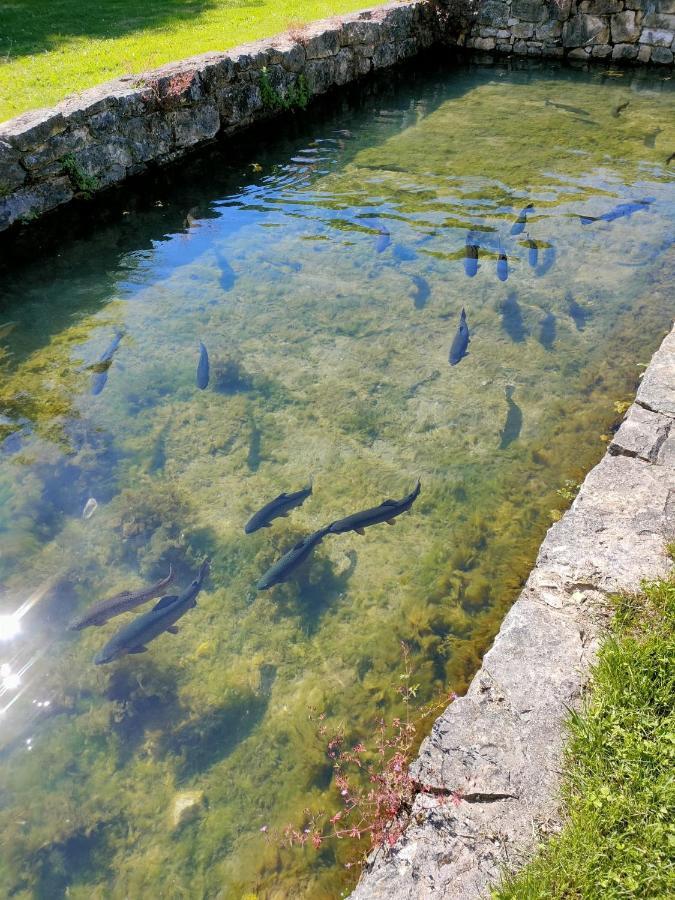 Les Pieds Dans L'Eau, Gite La Source Lachapelle-Auzac Екстериор снимка